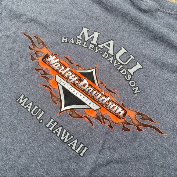 2011 Harley-Davidson Maui - Picture 3 of 6